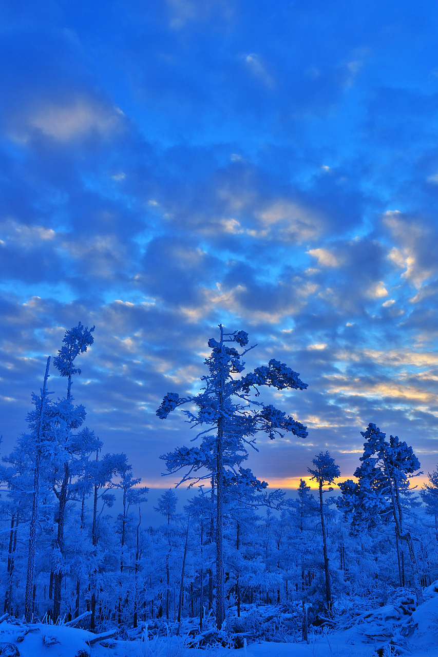 带你一起领略,大美林海雪原!