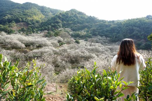 饶平青竹径村风景怎样图片