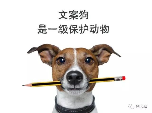 最美的期待,尽看文案狗的自白.