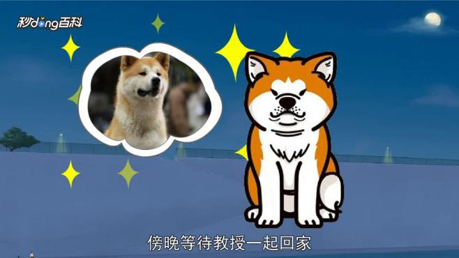 [图]「秒懂百科」一分钟读懂忠犬八公