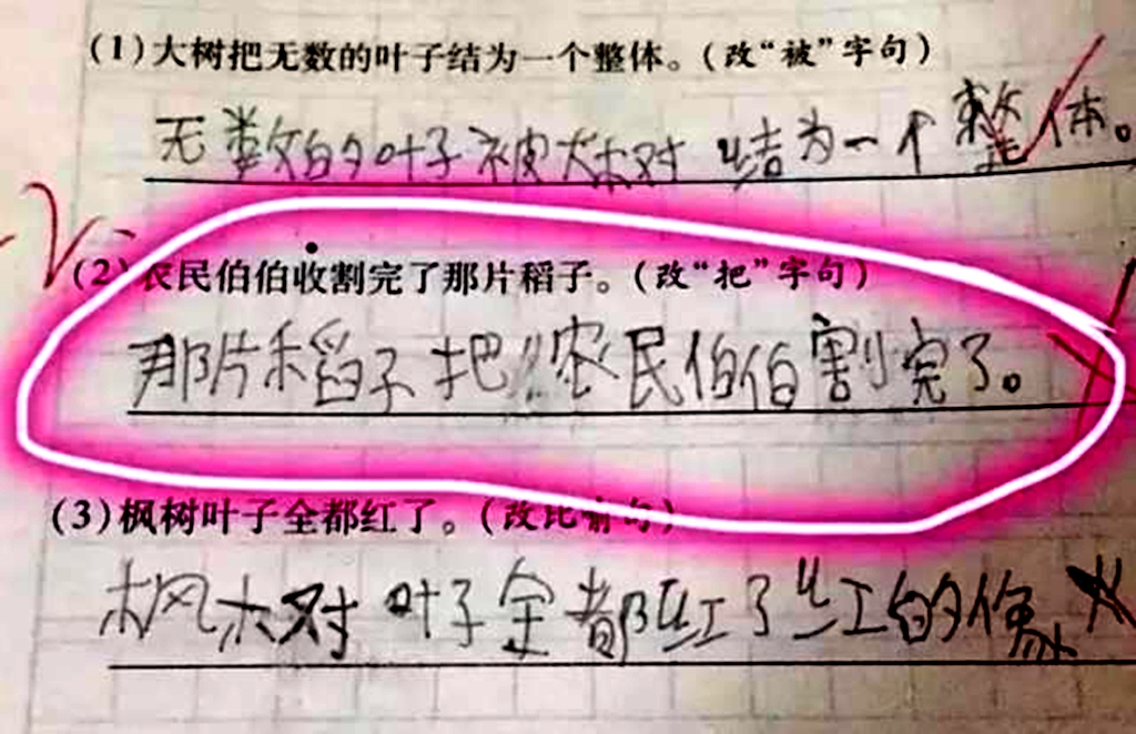 小学生脑洞大开,奇葩的作业答案笑出了腹肌,网友:佩服!