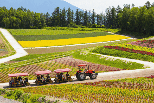 日本精致农业图片