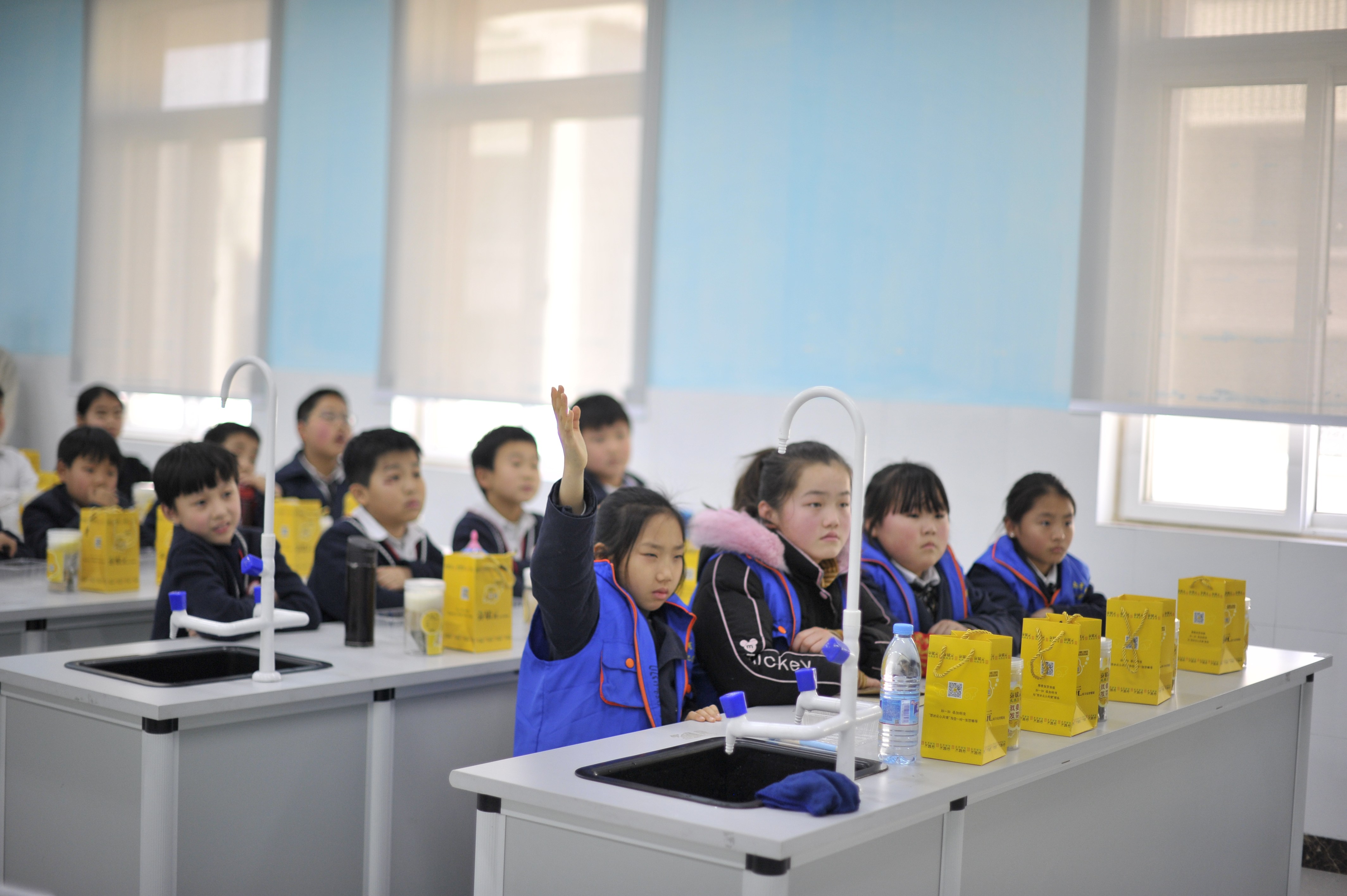 芽状元"芽菜科学实验课"走进香山小学,看豆芽72变