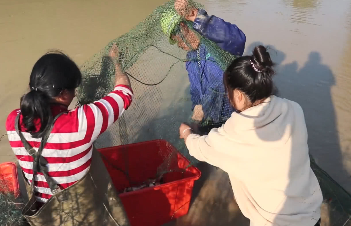 农村山塘里的鱼可以收获了,一群人徒手抓鱼,这场面真的好过瘾