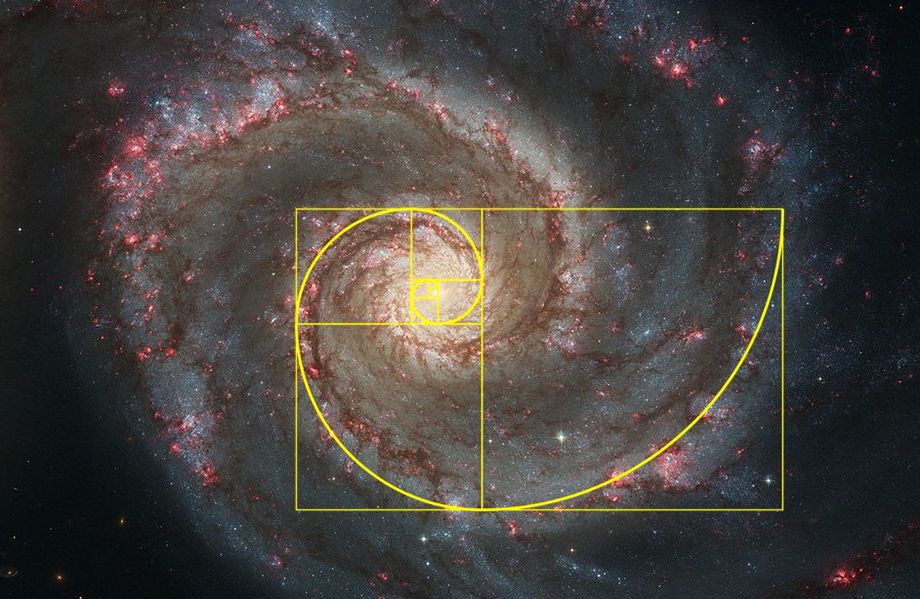 自然界中普遍存在黄金分割,它能表明宇宙是被设计的吗?