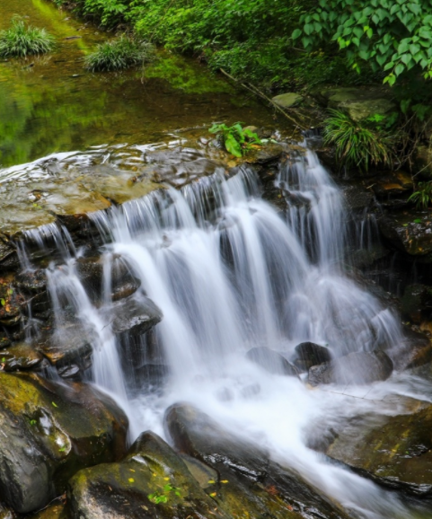 江西庐山乌龙潭,好美的地方,有机会一定去看看!