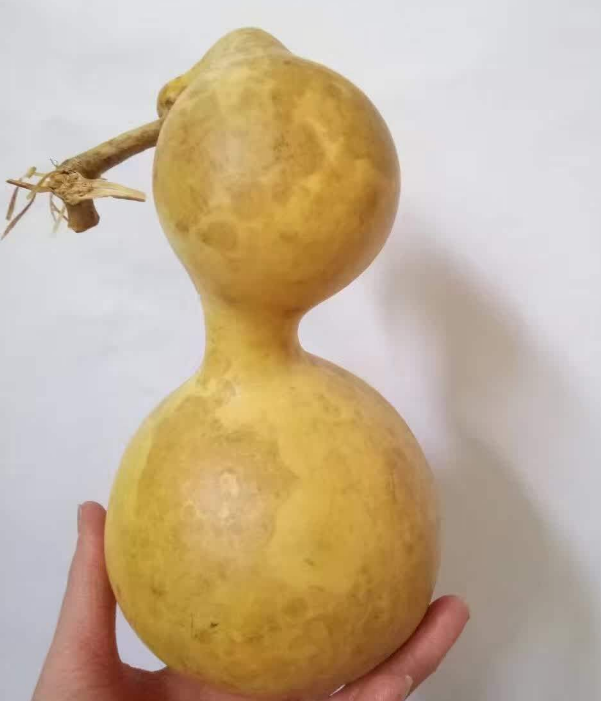 百度爱采购首页 商品专题_文玩葫芦如果葫芦花皮的情况很严重,想要