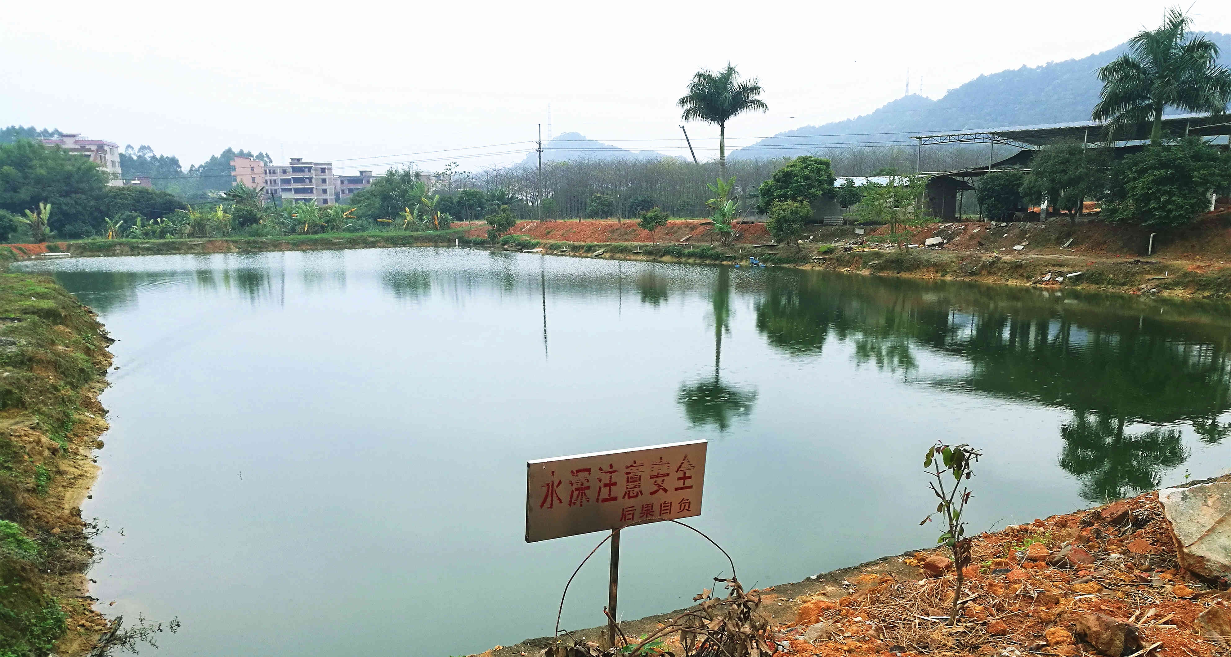 在农村养鱼的时候,多用池塘没有活水流动,需要注意这5项!