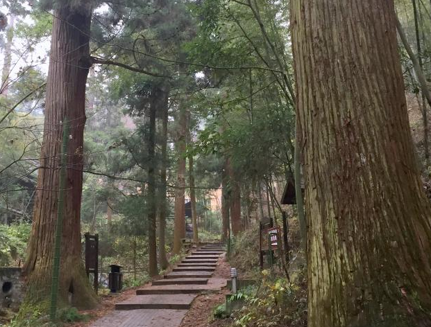 天目山昭明大禅院,这座寺院你看过吗?