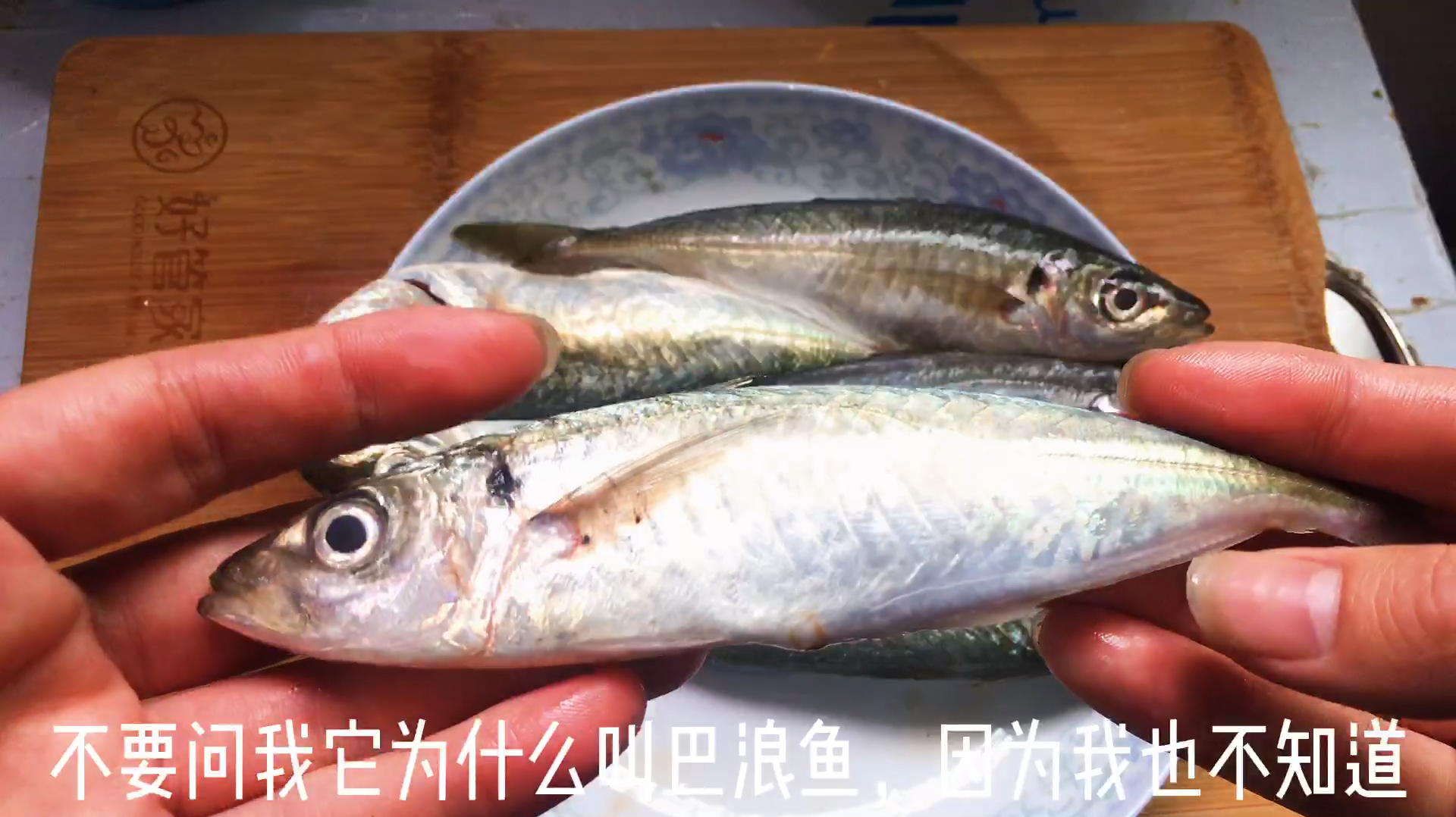 半煎煮巴浪鱼,还是广东潮汕做法好吃,鱼肉细腻鲜香无腥味