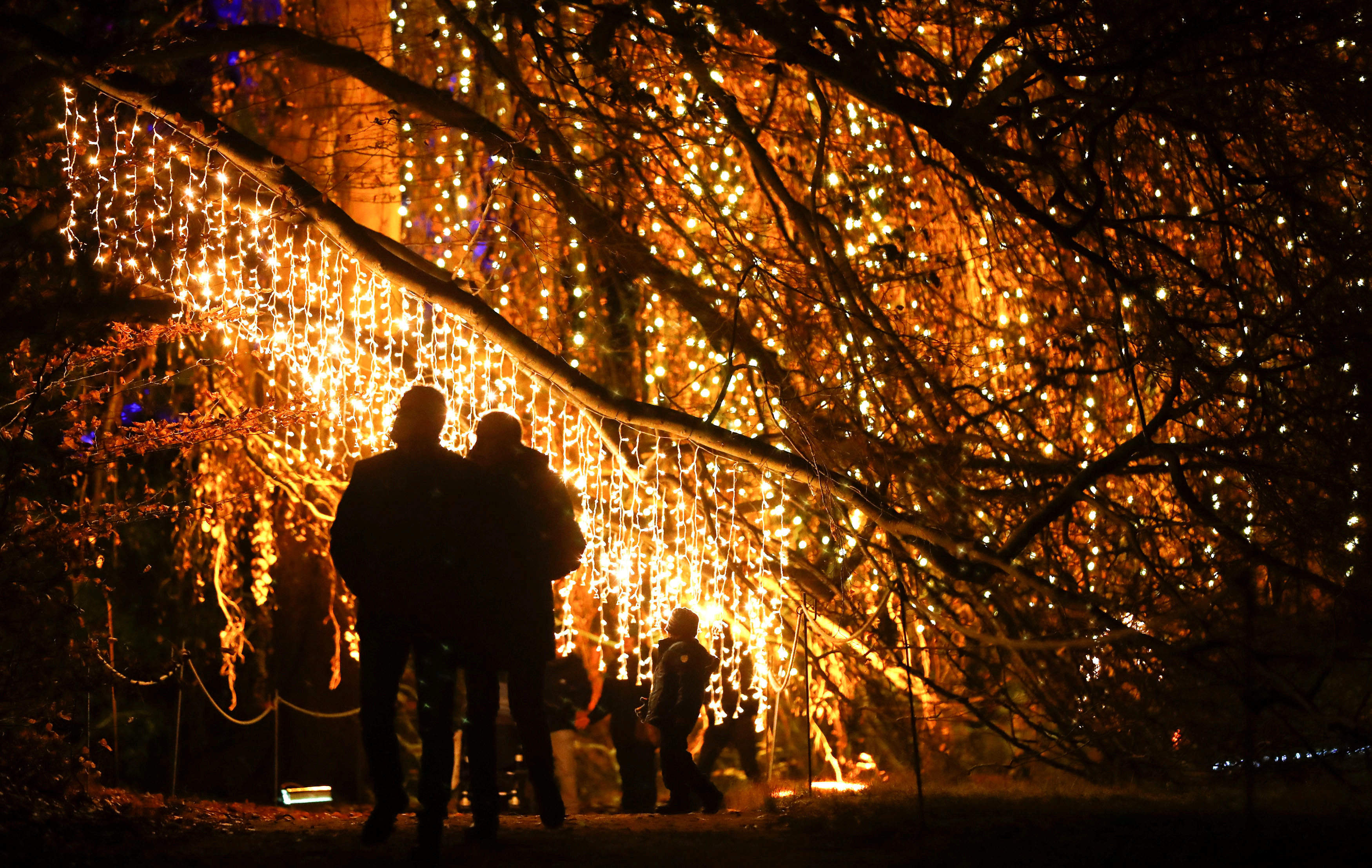 "柏林圣诞花园"灯光秀开幕(2)