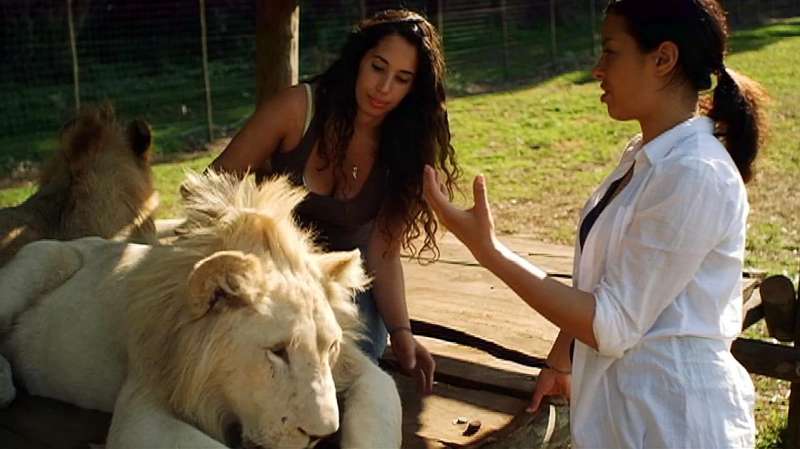 e6aca0025a473471f4776a2499524974.jpeg@s_0,w_800,h_1000,q_80