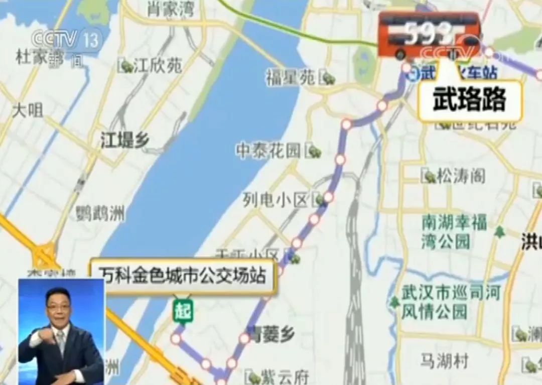 通过线路图可以看到,593路公交车应该沿着白沙洲大道的辅路行驶,当时