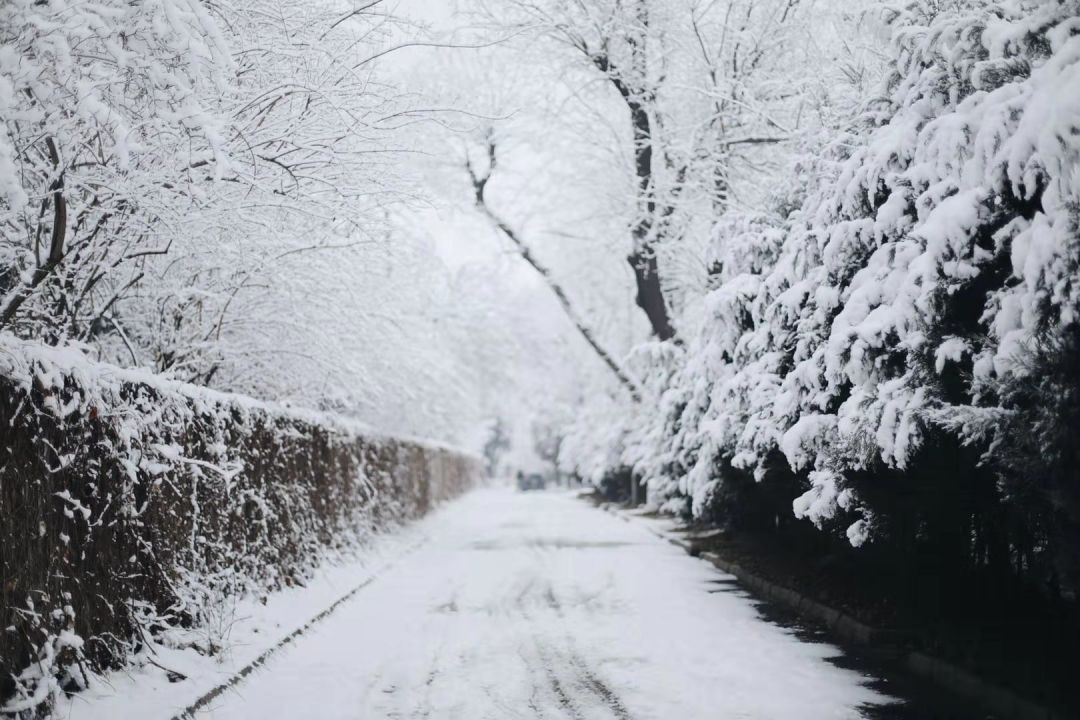 又下雪啦:北京大學2020年的第一場雪來了,真美……(多圖)!