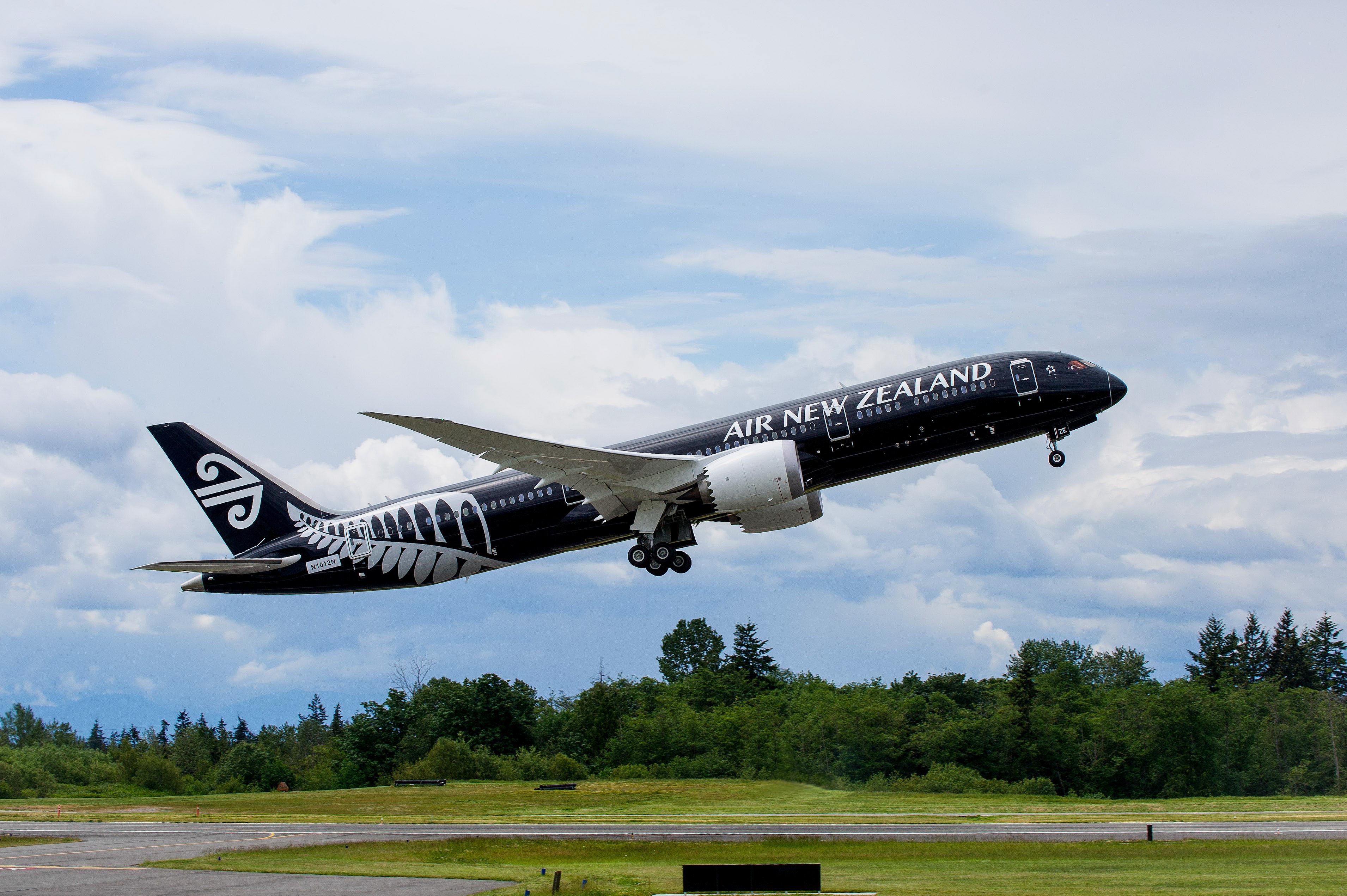 这架刚从起跑到提升的黑色飞机属于新西兰航空,黑色飞机是新西兰航空