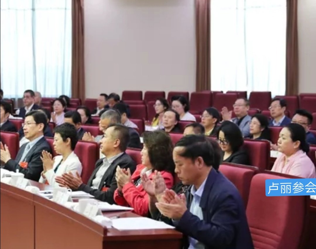 长春中东集团董事长卢丽今日参加会议 此前涉调查传闻