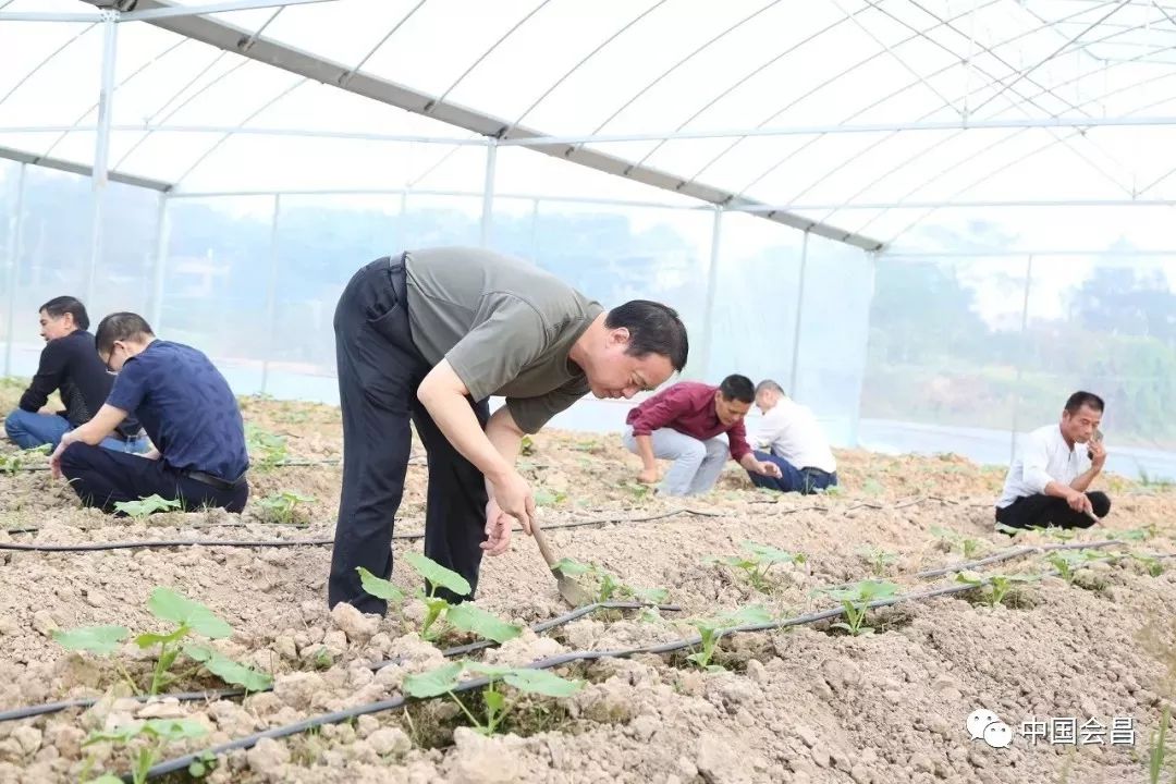 【不忘初心,牢记使命】蔡小卫:聚焦民生解难题 提升群众获得感