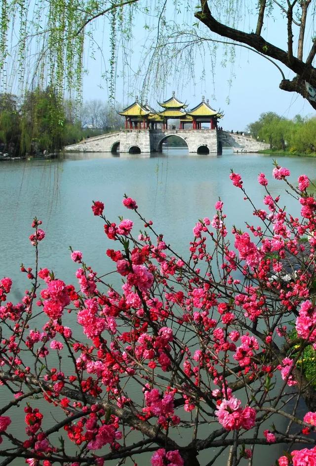 三月,去淋一场烟雨,遇一场花事