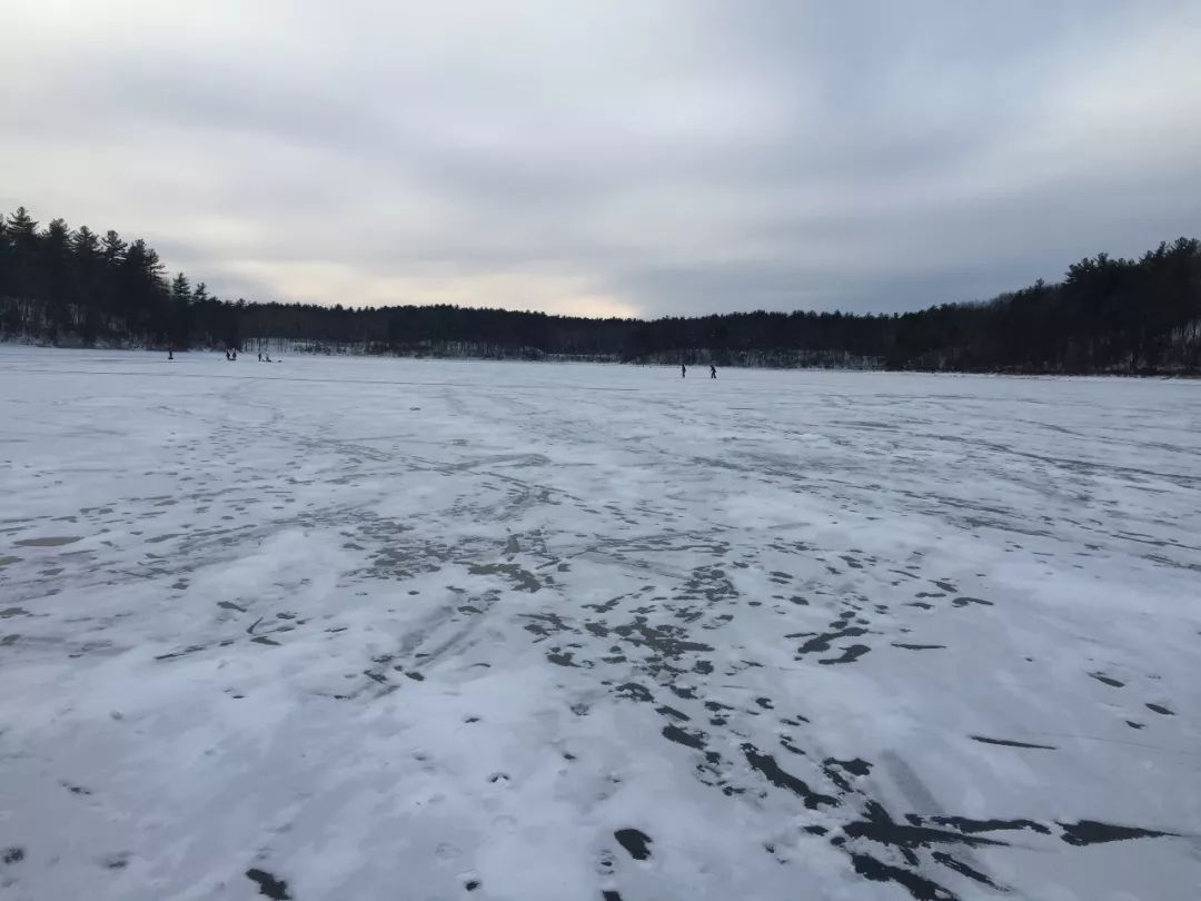 梭罗 | 瓦尔登湖的冬天,寂静,处处闪烁光芒