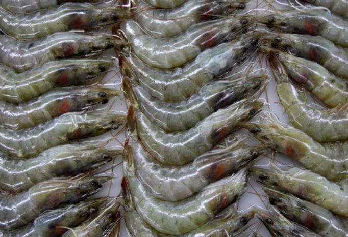 虾背上的黑线到底是什么?能吃么?这么多年都想错了!