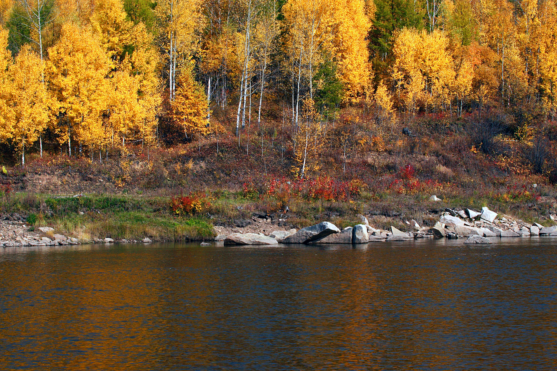 新疆阿勒泰地区布尔津县的贾登峪国家森林公园,这里的地势东北向西南