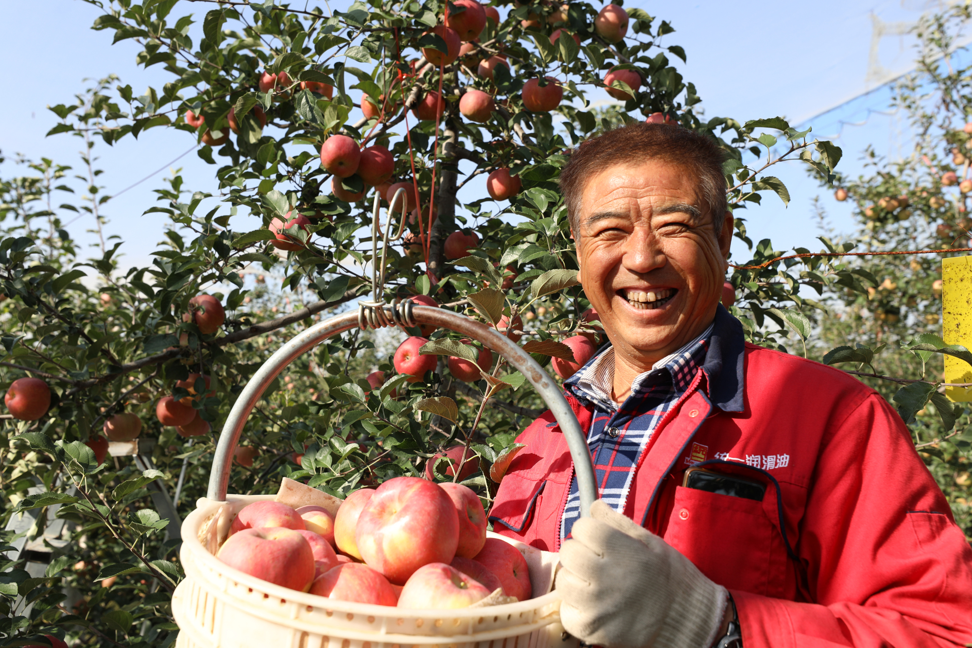 丰收时节中国农民"喜上眉梢"