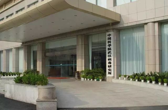 武汉病毒所:黄艳玲很健康,不是"零号病人"