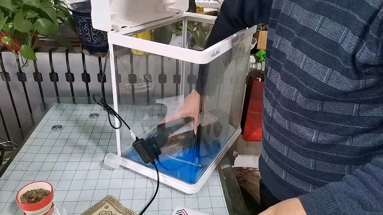 二百块钱买个鱼缸,买五十块钱的热带鱼,美观大气