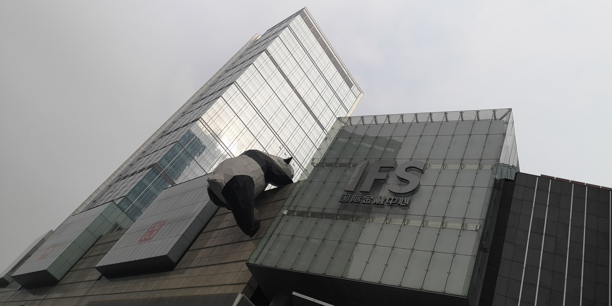 春熙路上,有只爬墙的大熊猫.憨态可掬