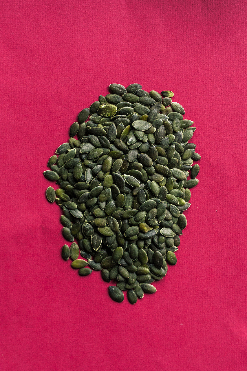 苦瓜籽催芽方法:选用新鲜苦瓜籽,洗净后浸泡12-16小时,用指甲在籽的