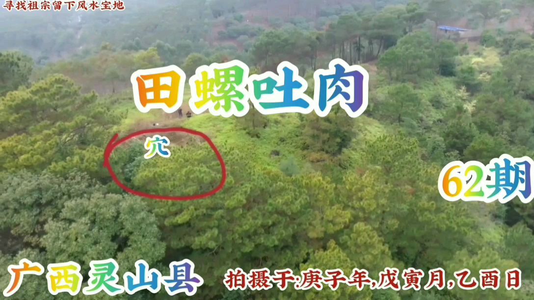 广西灵山县田螺吐肉