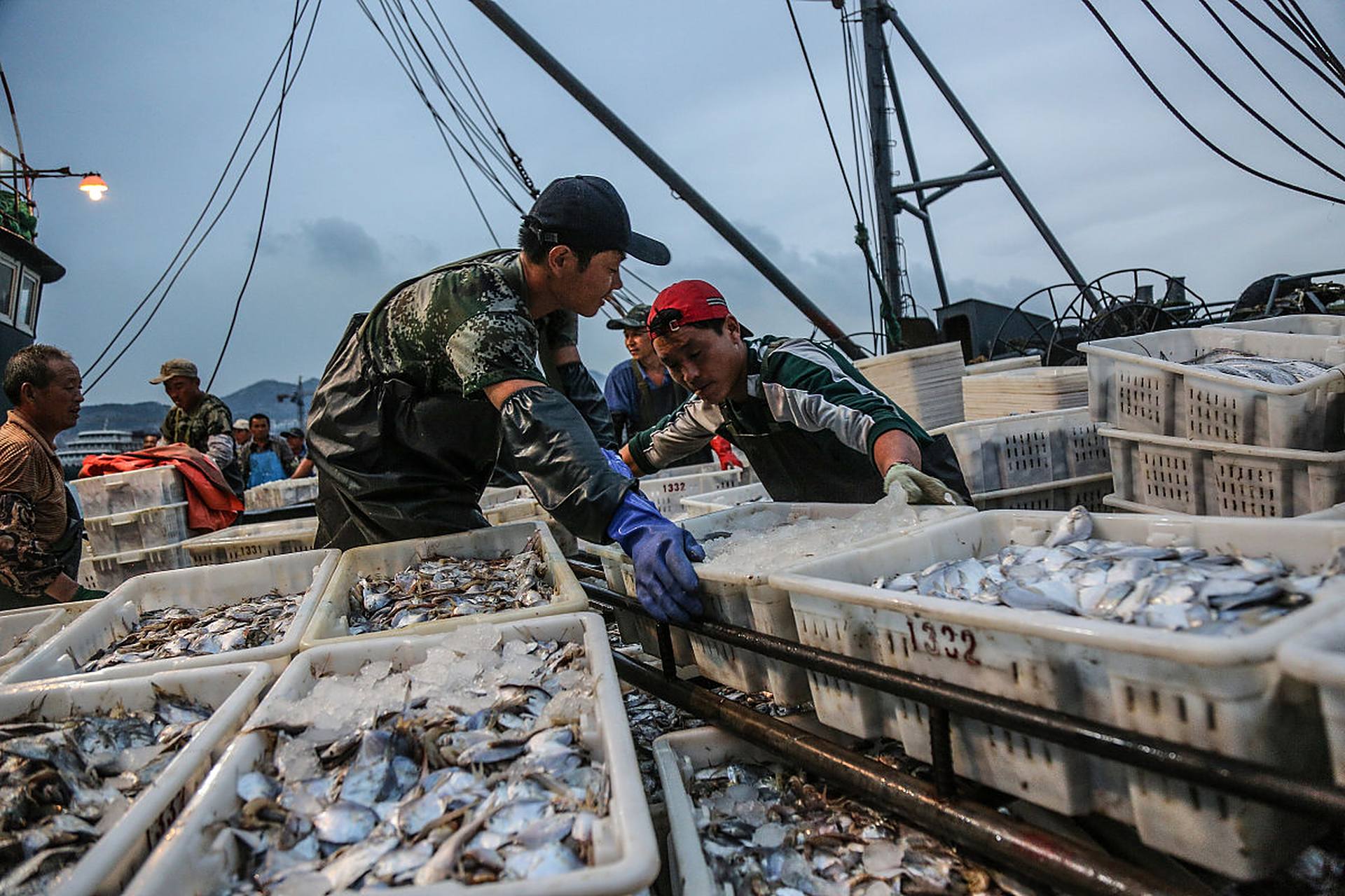 张大伟,山东东营市"海霸".