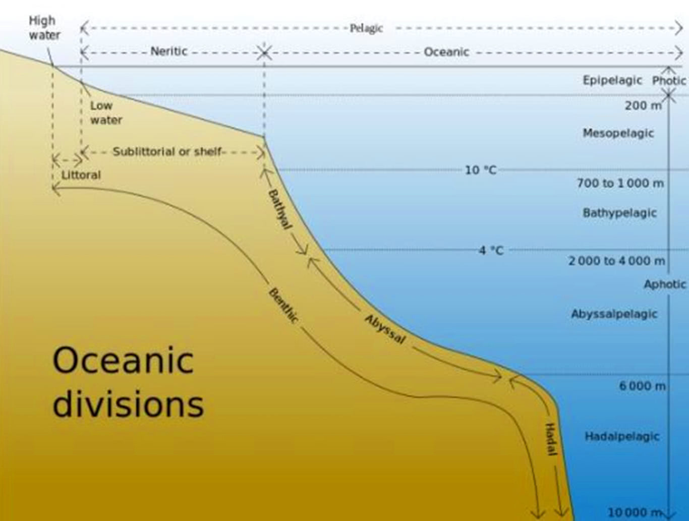 海洋究竟有多深?深海中不仅黑暗,还有这些不明生物