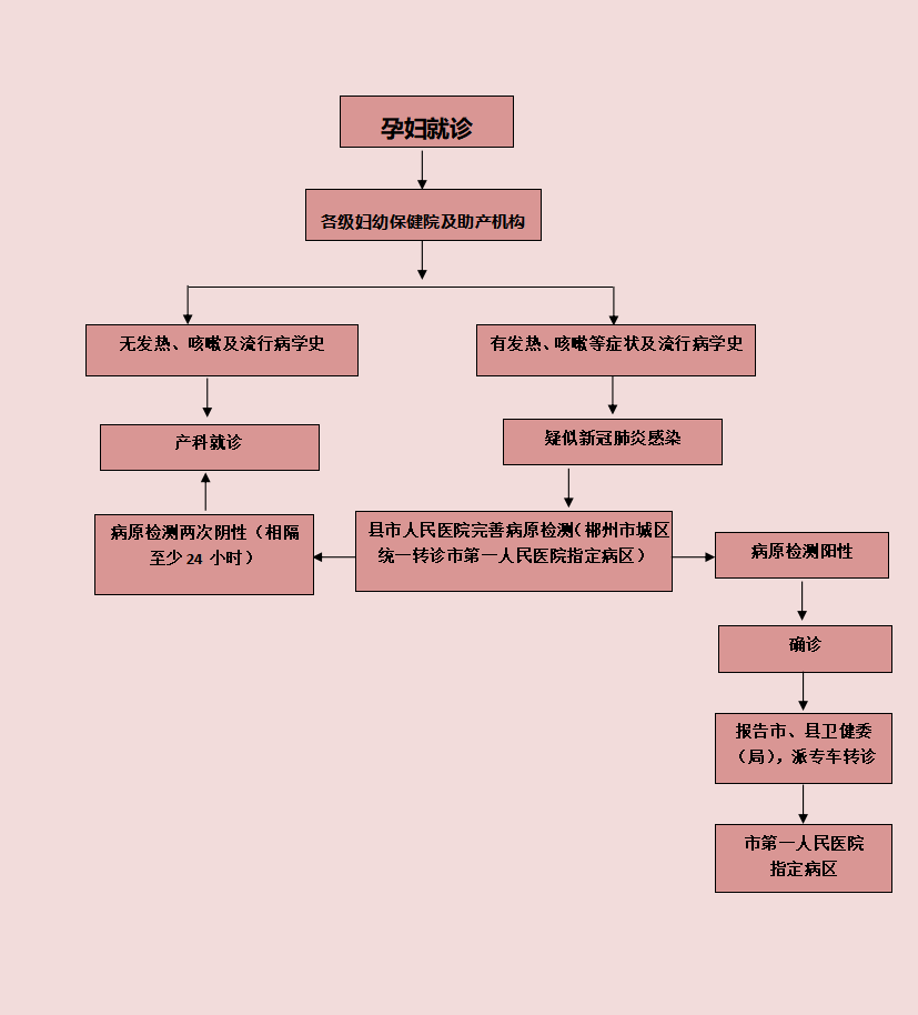 致全市孕产妇的一封信(附孕妇就诊流程图)