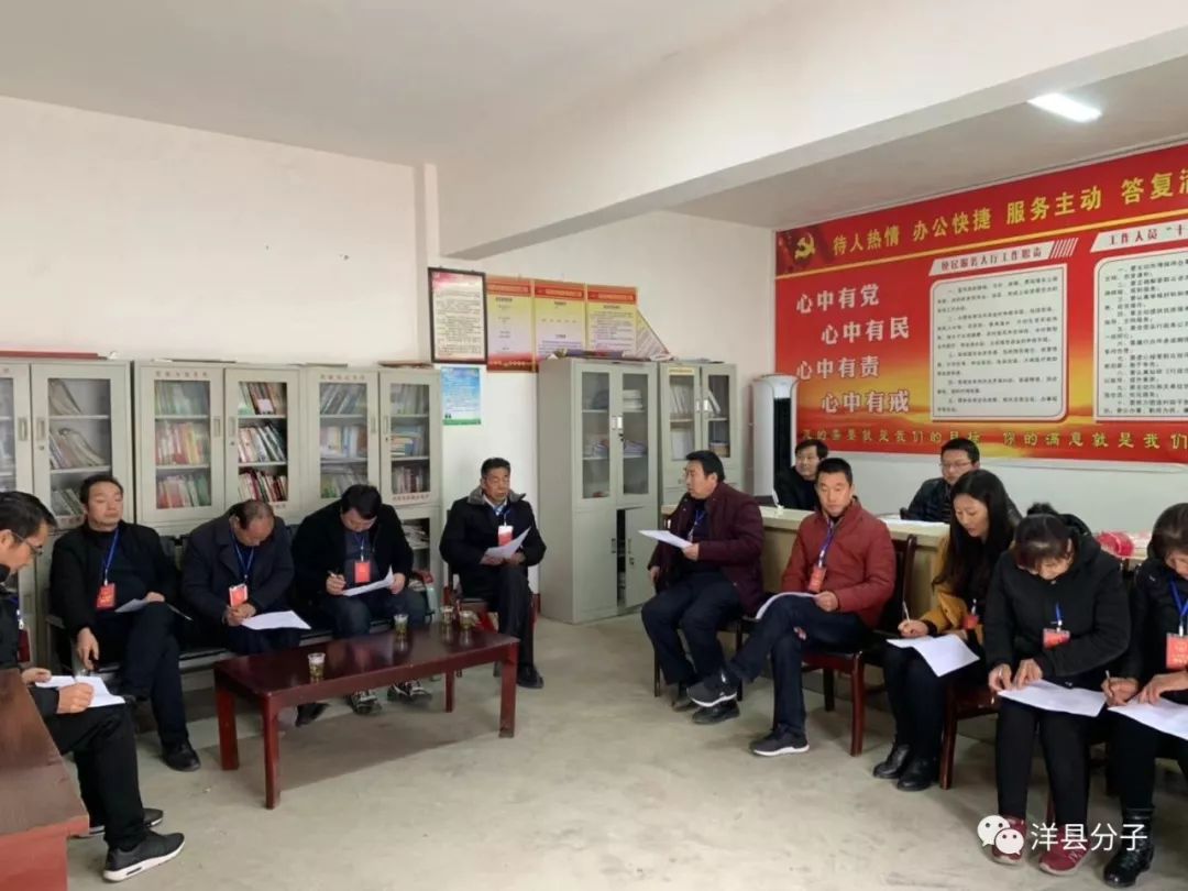 洋县黄金峡镇开展县镇人大代表集中视察活动