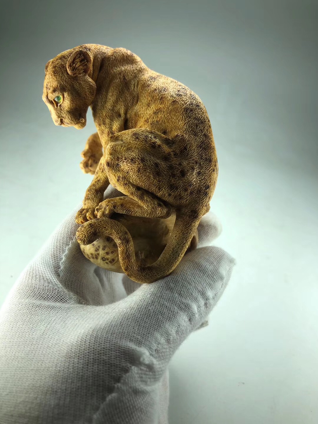 豹子- 热门商品专区