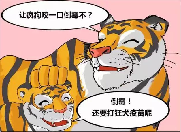 搞笑漫画:森林之王老虎不轻易招惹疯狗的真正原因!