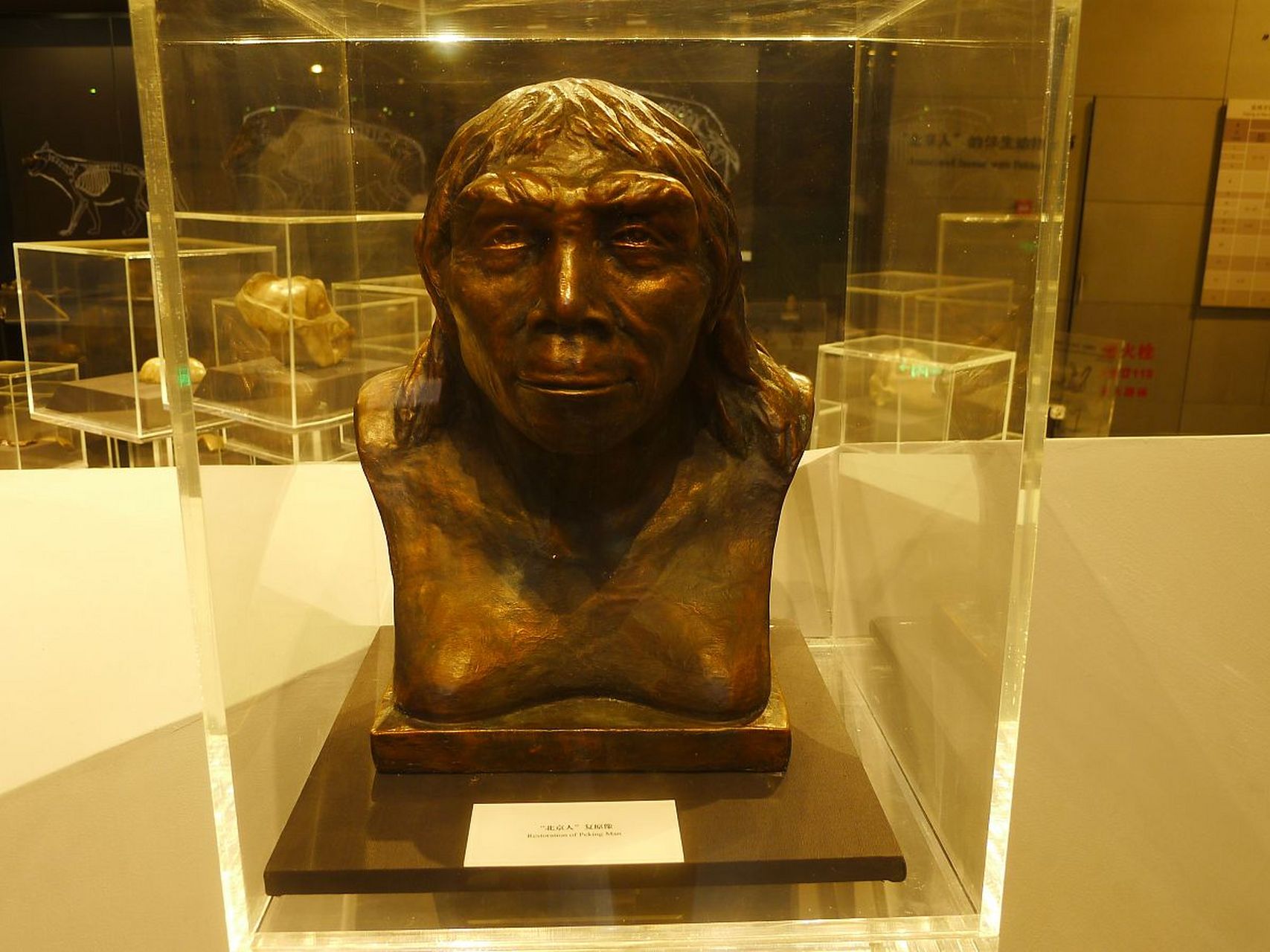 推荐大家看一下这本书.