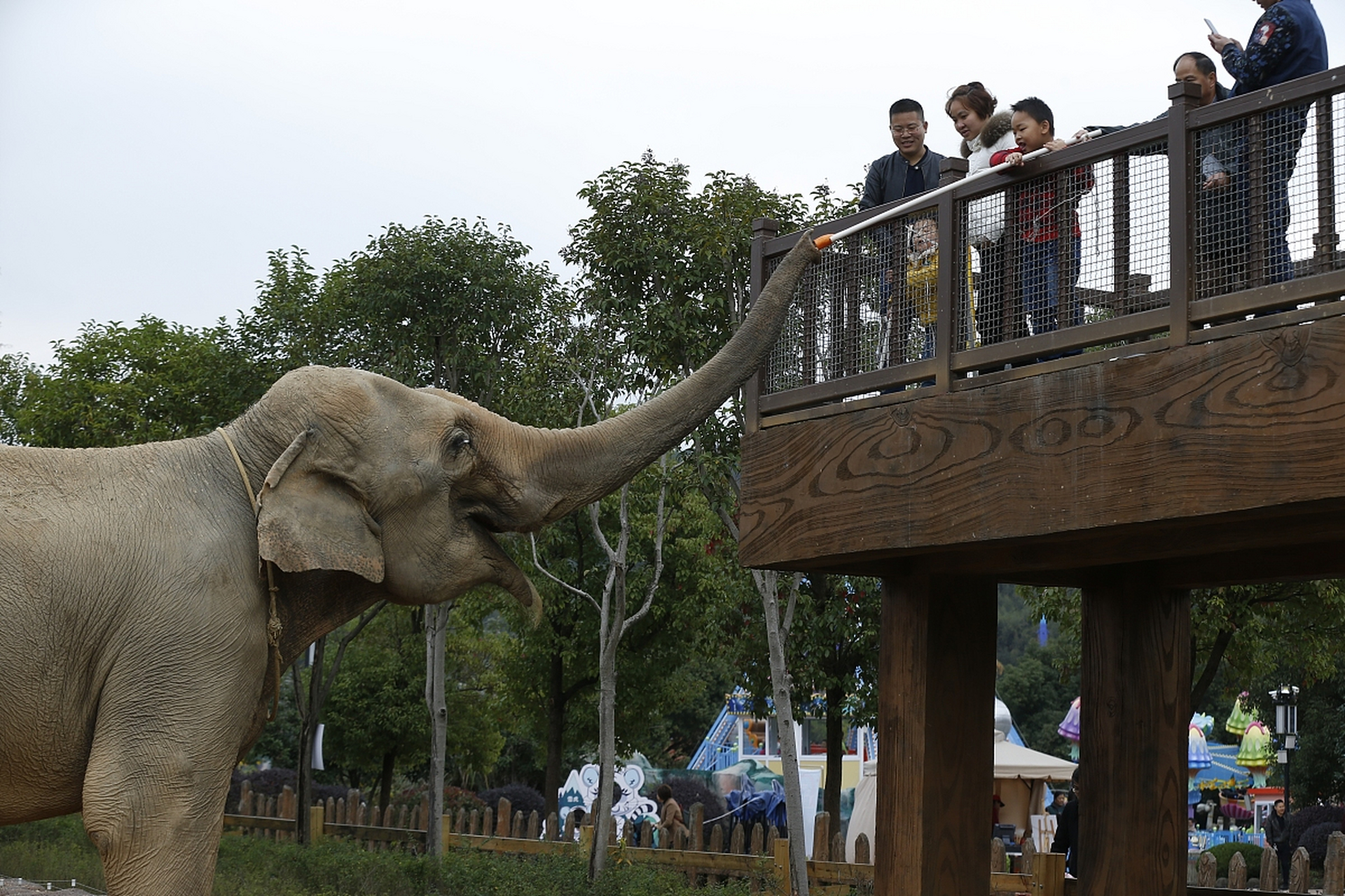 常德汉寿野生动物园是一个绝佳的亲子和大家庭游玩的好去处.
