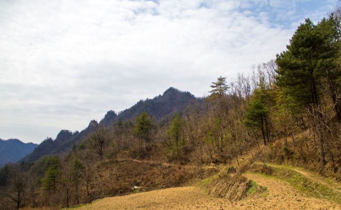 秦岭宁陕牛圈沟|村中20多户已搬走,夫妻俩独守农家乐不愿离去
