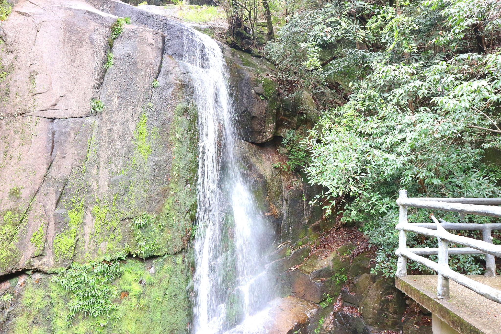 大鄣山卧龙谷旅游区图片