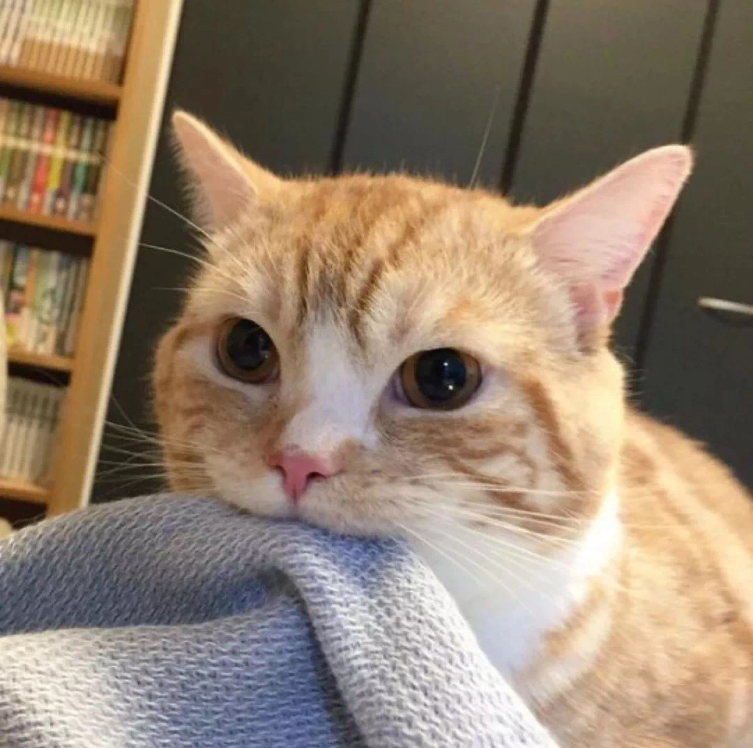 网易云经典语录