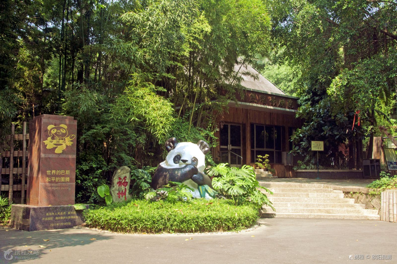 胖虎旅游:福建福州著名景点,海峡熊猫世界!