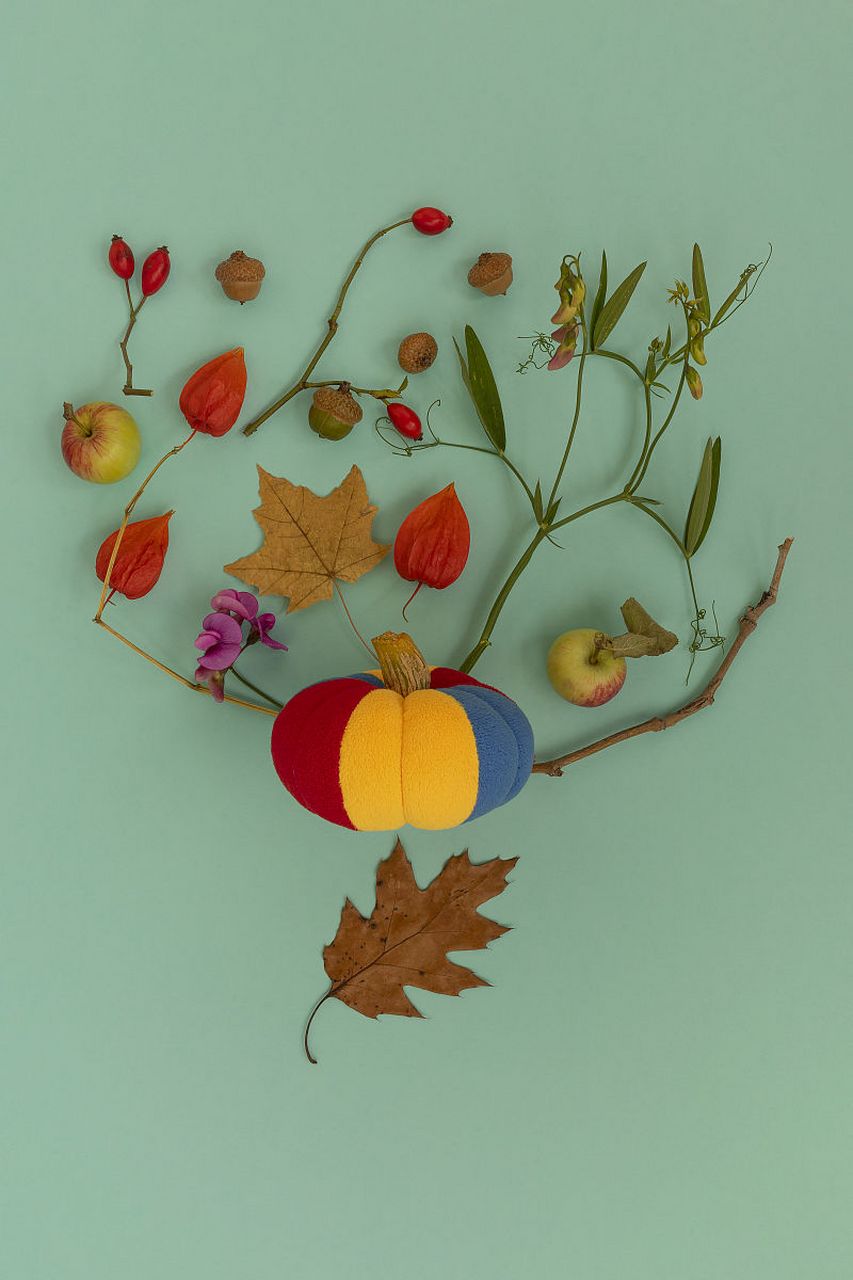 杏仁树叶diy,让你的创意瞬间炸裂!色彩斑斓的叶子秒变艺术品96.