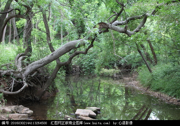 千古名言"木秀于林,风必摧之",后面两句话更经典,你听过吗?