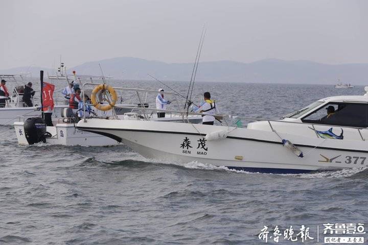 挥竿摇轮 大鱼频现!山东长岛全国海钓精英邀请赛落幕