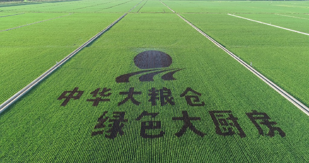 中国经济的韧性|北大荒:在黑土地上书写改革发展新篇章