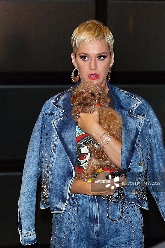当地时间2018年10月30日,美国纽约,女星凯蒂·佩里(katy perry)街拍.