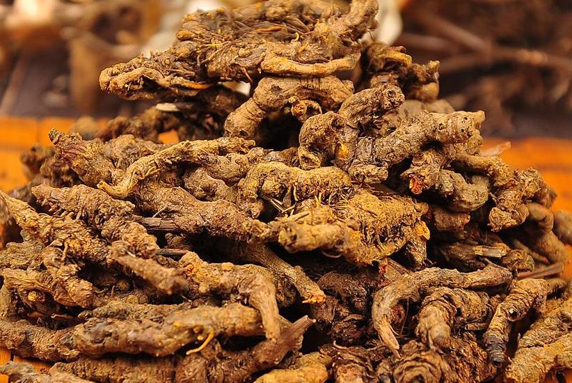 中药成千上万种,川连是其中的一种,来学习一下种植方法吧