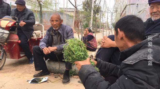 [图]河南南阳：各大门派掌门人齐聚一堂，共襄武林盛会